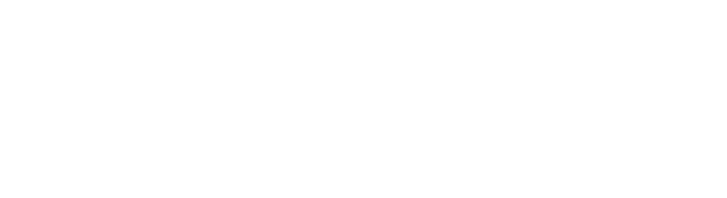 navinyaa logo